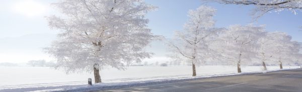 liturgie-funerailles-2